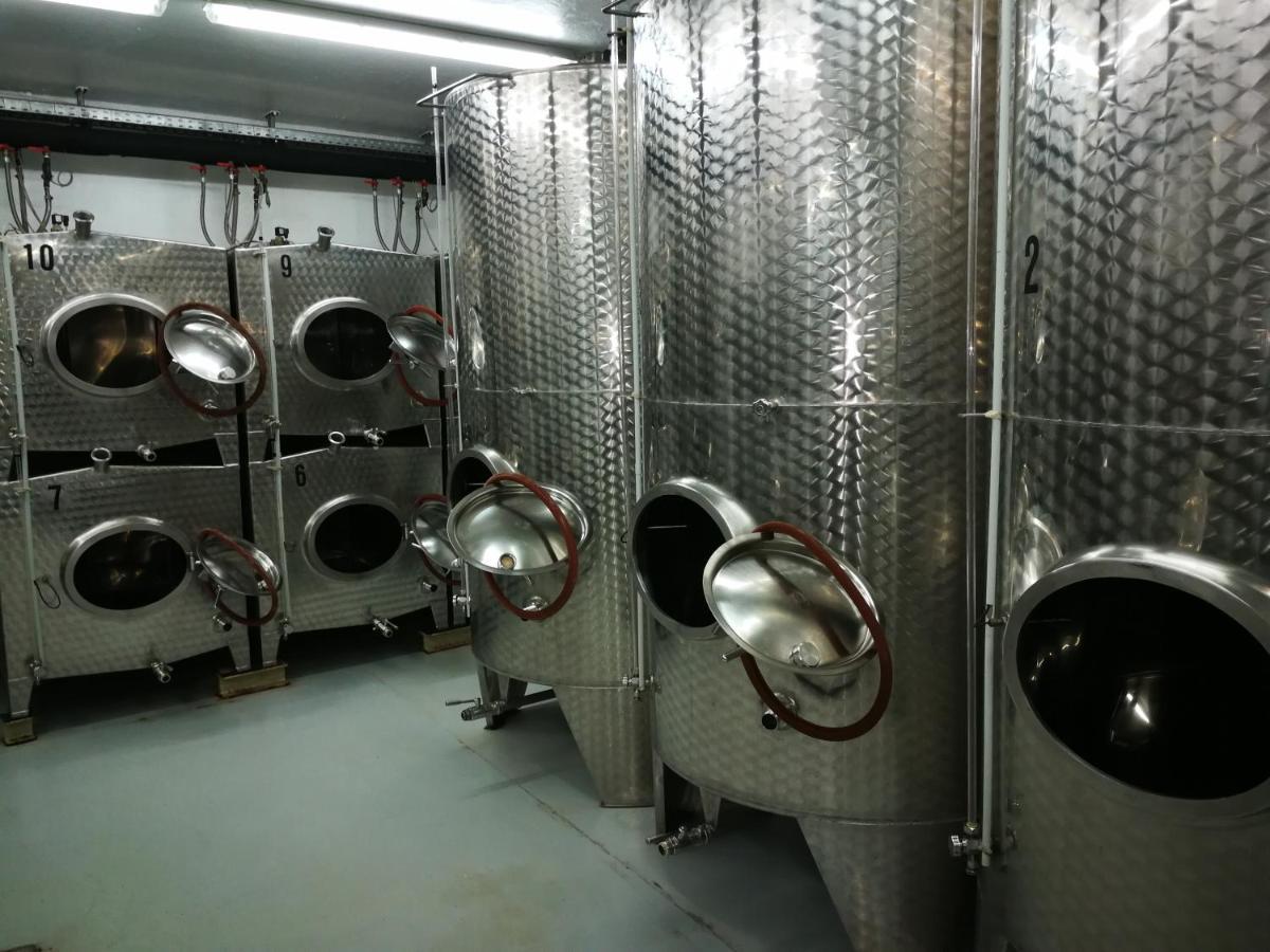 Winzerhof Brachtendorf Alken Extérieur photo