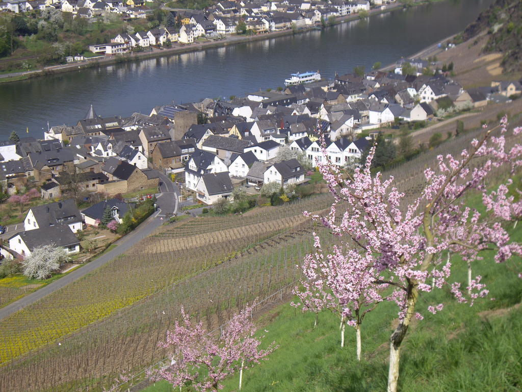 Winzerhof Brachtendorf Alken Extérieur photo