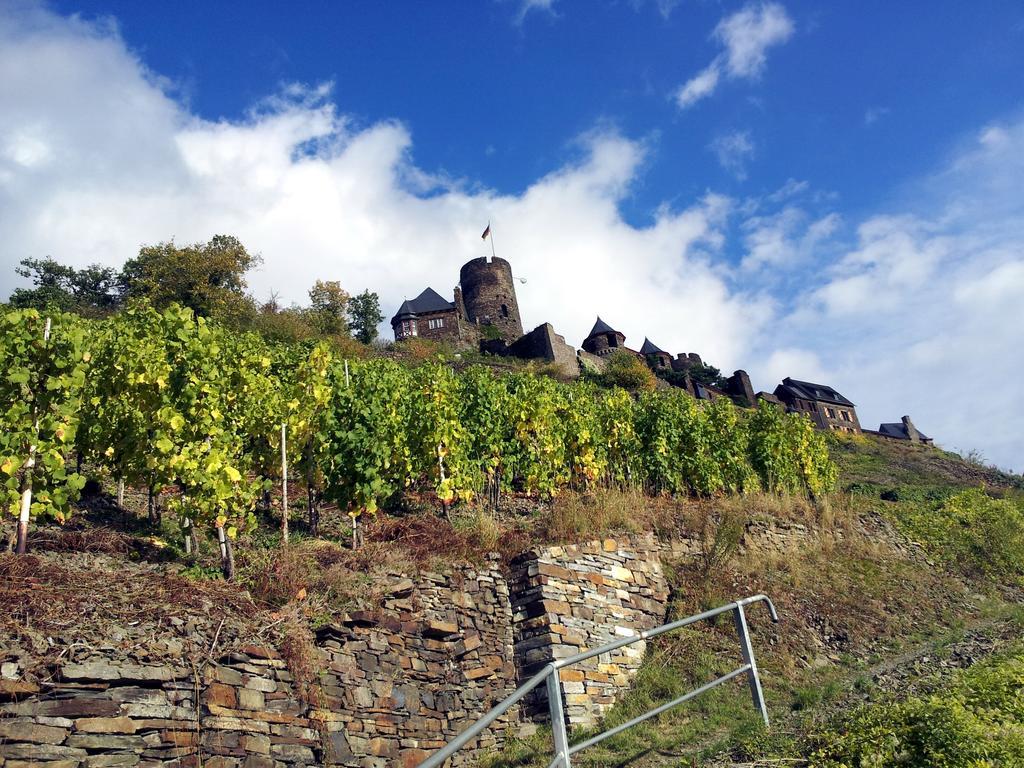 Winzerhof Brachtendorf Alken Extérieur photo